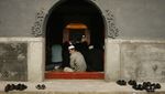 Melihat Masjid Tertua di Beijing, Masjid Niujie