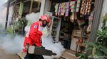 Melihat Pencegahan Demam Berdarah di Kala Pandemi