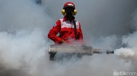 Petugas PMI melakukan fogging di area perumahan warga di kawasan Bekasi sebagai upaya pencegahan demam berdarah.
