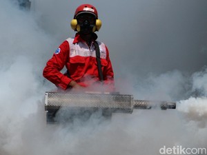 Mengendalikan DBD dengan Nyamuk Wolbachia, Setuju atau Tidak? Polling Yuk