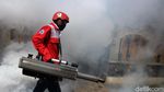 Melihat Pencegahan Demam Berdarah di Kala Pandemi