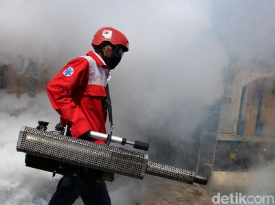 Melihat Pencegahan Demam Berdarah di Kala Pandemi