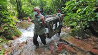 Petugas BKSDA Jambi mengangkat kandang transpor yang berisi siamang (Symphalangus syndactylus) saat pelepasliaran di Taman Nasional Kerinci Seblat (TNKS), Sungai Penuh, Jambi, Selasa (22/6/2021).   