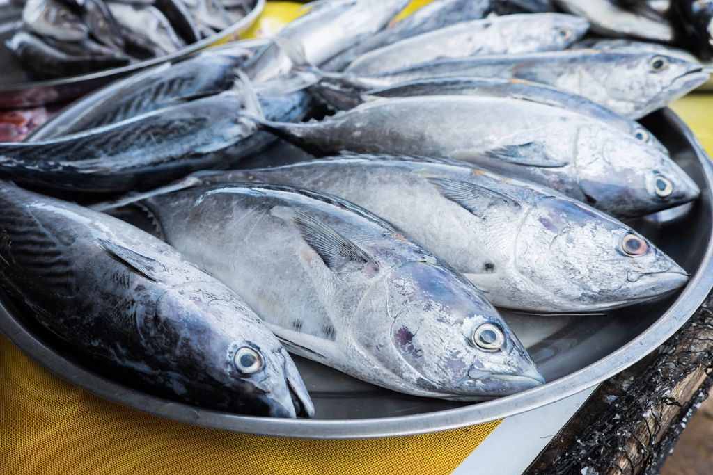 Resep Asam Padeh Ikan Tongkol