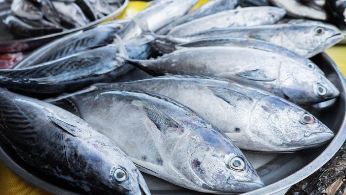 Resep Asam Padeh Ikan Tongkol