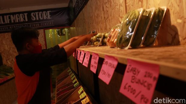 Sayuran Produksi Santri Petani di Bandung
