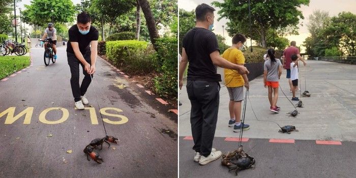Sebelum Dimasak, Kepiting di Restoran Seafood Ini Diajak Jalan-jalan