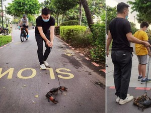 Sebelum Dimasak, Kepiting di Restoran Seafood Ini Diajak Jalan-jalan