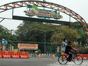 Taman Margasatwa Ragunan Kembali Dibuka Sabtu Pekan Ini, Catat Aturannya