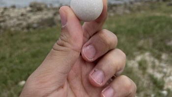 Saya temukan batu bulat sempurna ini di pantai Foto: Boredpanda