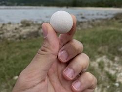 Potret Viral Penemuan Mengejutkan, Ada Jejak Kaki Raksasa