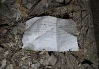fotoinet potrret tak terduga yang terjadi