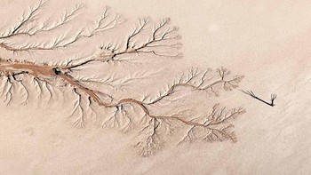 Jawara kategori Landscapes diraih oleh Jay Roode. Canon 5D Mark III with 100-400mm lens. 1/800th, f/9, ISO 250. Foto: dok Nature TTL 2021