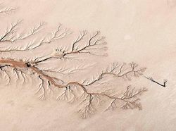 Karya Jawara Kontes Foto Satwa dan Alam yang Menyihir Mata