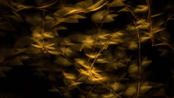 Jawara kategori Small World diraih James Gifford yang menampilkan koloni rayap yang tengah terbang. Canon 1DX Mark II dengan lensa Canon 24-70mm. 0,3 detik, f/8, ISO 1.000. Foto: dok Nature TTL 2021