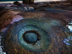 Karya Jawara Kontes Foto Satwa dan Alam yang Menyihir Mata