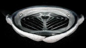 Jawara ketegori Underwater diraih oleh Grant Thomas. Canon 5D Mark IV with Canon 8-15mm fisheye lens. 1/50th, f/11, ISO 320. Foto: dok Nature TTL 2021