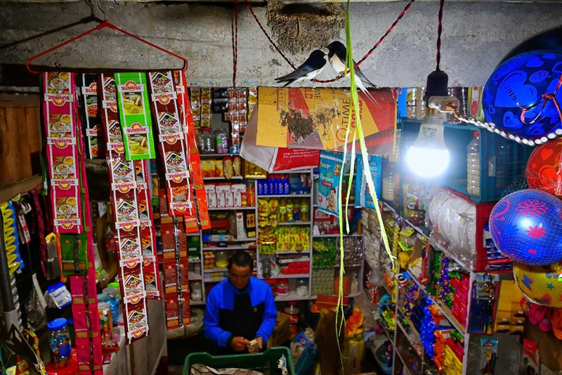 Kontes foto alam Nature TTL 2021