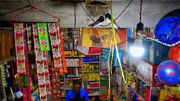 Jawara kategori Urban Wildlife diraih oleh Kallol Mukherjee.Nikon D850 with Tamron 15-30mm lens. 1/30th, f/5.6, ISO 2,500. Foto: dok Nature TTL 2021