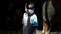 Perkembangan terbaru jumlah kasus COVID-19 pada anak terus meningkat pesat. Jumlah anak-anak yang meninggal usai terjangkit Covid-19 pun semakin tinggi.