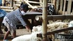 Waspada Bahaya COVID-19 Membayangi Anak-anak