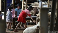 Kemudian, 6-18 tahun dengan kasus 176.597 dan meninggal 328 orang. Data nasional saat ini, proporsi kasus konfirmasi positif COVID-19 pada anak usia 0-18 tahun 12,5 persen. 