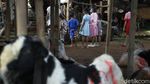 Waspada Bahaya COVID-19 Membayangi Anak-anak