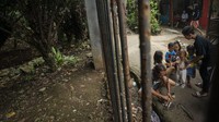 Pohon salak dibabat, dinding-dinding rumah dibangun. Kini hijaunya Condet dengan banyaknya tanaman salak telah berganti dengan padatnya rumah-rumah penduduk. Inilah benteng terkahir konservasi maskor Jakarta.