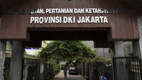 Upaya pelestarian salak condet kini terus berpacu dengan pesatnya alih fungsi lahan hijau di Jakarta, termasuk Condet. Segala daya dan upaya terus dilakukan untuk satu tujuan, yaitu agar salak condet tidak punah dari bumi Jakarta.