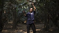 Hingga akhir 1980-an setiap masa panen raya, jalan raya dan jalanan kampung riuh dengan aktivitas panen dan jual beli salak condet, kata Asnawi. Soal rasa, salak condet memiliki keunikan memiliki tiga varian sekaligus, yaitu manis, asam, dan sepat. Namun, rasa sepatnya tidak dominan. 