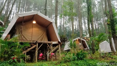 Foto: Glamping Deloano Purworejo yang Disebut Sandiaga Magical
