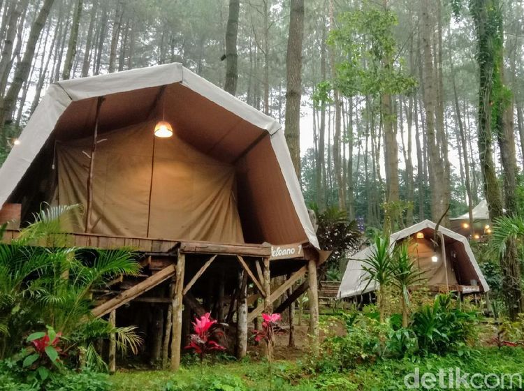 Foto: Glamping Deloano Purworejo yang Disebut Sandiaga Magical