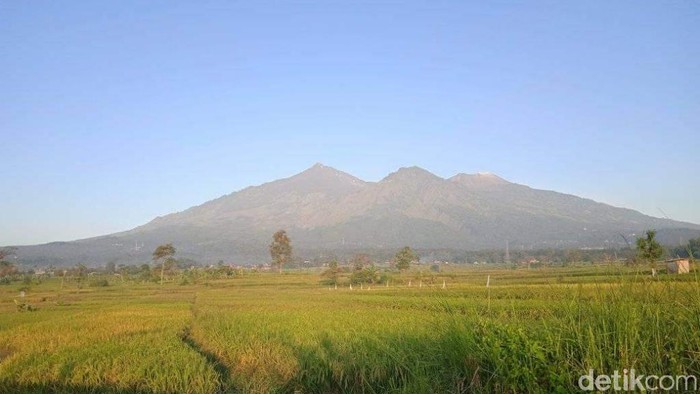 Pendakian Gunung Arjuno-Welirang kembali ditutup. Penutupan dilakukan mencegah munculnya klaster pendakian dalam kasus COVID-19.