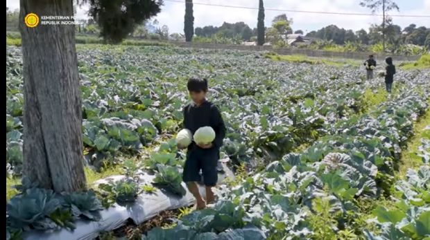 Hanya Lulusan SD, Petani Sayur Ini Sukses Raih Penghargaan Dunia