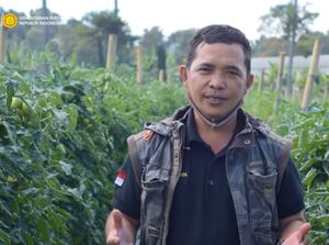 Hanya Lulusan SD, Petani Sayur Ini Sukses Raih Penghargaan Dunia
