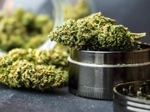 Pengedar Ganja 2,5 Kg Jaringan Lapas Gunung Sindur Ditangkap di Sukabumi