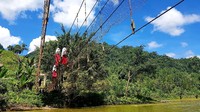 Aksi berbahaya ini dilukukan anak-anak lantaran jembatan gantung sepanjang 45 meter dengan lebar 1,5 meter dalam kondisi rusak parah.