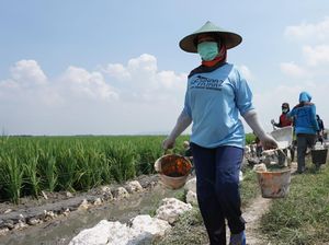 Program Padat Karya Ditjen SDA PUPR Targetkan Serap 386.159 Pekerja