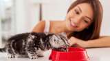 3 Mitos Makanan Kucing, Pemilik Anabul Wajib Tahu