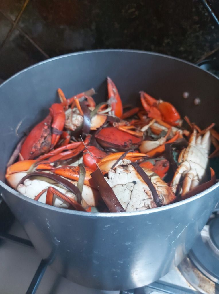 Wah! Pengacara Ini Terima Honor Kepiting Hidup dari Kliennya
