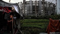 Hasil yang didapat para petani di masa pandemi COVID-19 seperti saat ini sulit untuk dikatakan sebagai keuntungan pasalnya biaya modal untuk sekali menanam saja mencapai Rp 3 juta per bulan. Jumlah tersebut mencakup rincian biaya pupuk, bibit dan sebagainya.