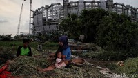 Kondisi para petani kian sulit di masa pandemi karena harga pupuk dan bibit justru mengalami kenaikan harga.