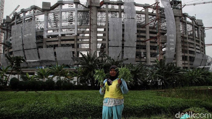 Pandemi COVID-19 belum reda di Tanah Air. Kondisi itu membuat para petani di Jakarta berupaya sekuat tenaga agar tetap dapat bertahan hidup di masa pandemi.