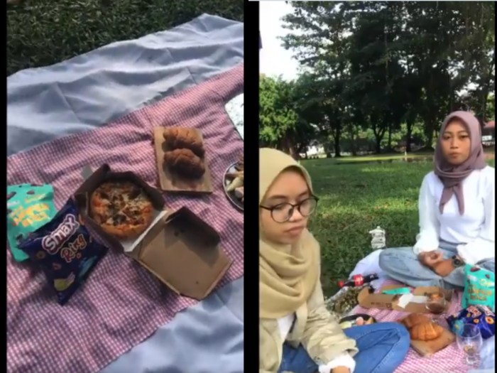 Piknik diganggu hewan Ngakak! Niat Piknik Cantik, Makanan Wanita Ini Malah Dicuri Angsa dan Rusa