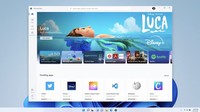 Windows 11