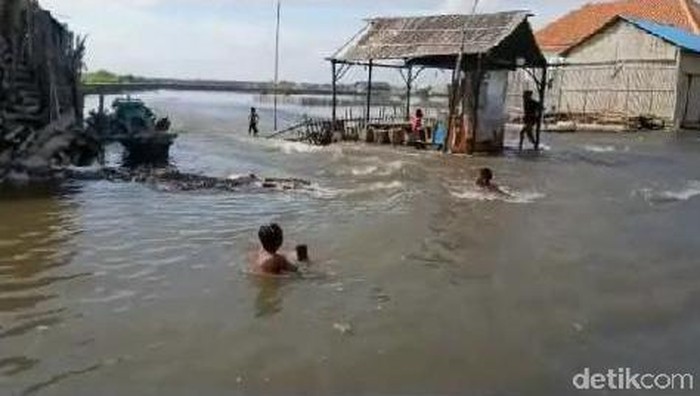 Banjir rob kembali melanda permukiman warga Desa Kalibuntu, Kecamatan Kraksaan, Kabupaten Probolinggo. Itu merupakan banjir tahunan.