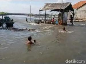 Banjir Rob Landa Kampung Nelayan Probolinggo