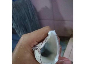 Viral Cumi untuk Masturbasi, Pare dan Terong Juga Bikin Mual Netizen