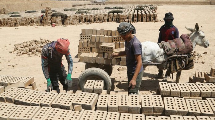 Sebuah desa di Baghdad masih menggunakan keledai sebagai pengangkut batu bata. Bagaimana menurut kalian gaes?