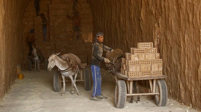 Di Desa Ini, Keledai Masih Berguna untuk Mengangkut Batu Bata Sebuah desa di Baghdad masih menggunakan keledai sebagai pengangkut batu bata. Bagaimana menurut kalian gaes?